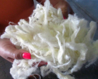 Raw Washed Wool